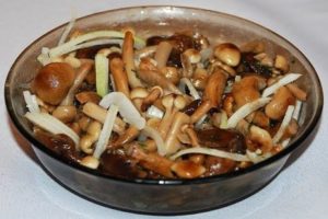 Een eenvoudig recept voor het maken van gepekelde champignons voor de winter