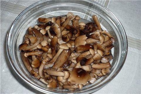 houby v misce