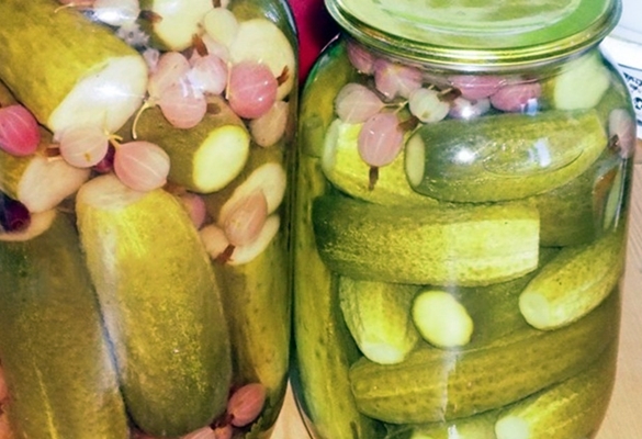 pickled cucumbers with gooseberries on the table