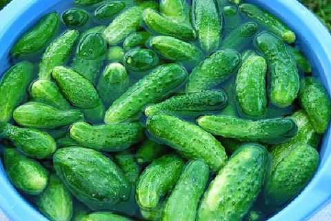 soaking cucumbers