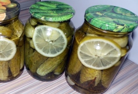 komkommers met citroen in potten