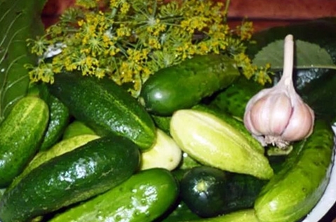 darebné konzervované uhorky s vodkou na tanieri