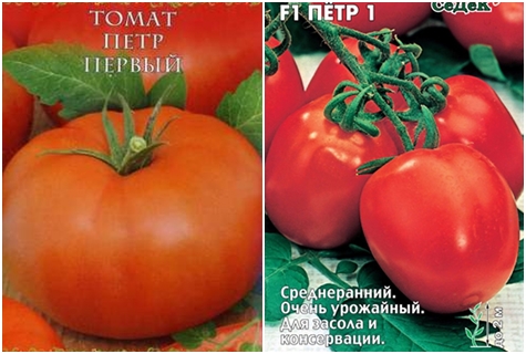 tomatfrø peter den første