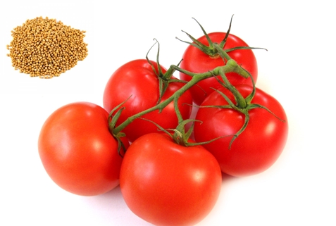 musztarda i pomidor