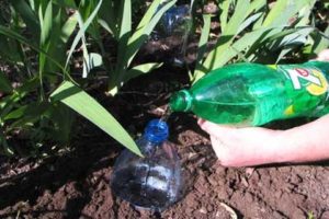Riego por goteo de bricolaje para pepinos de botellas de plástico
