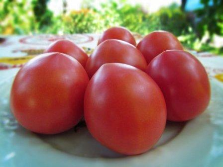 pomidory na talerzu