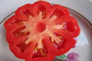 Kenmerken en beschrijving van de tomatenvariëteit Champignonmand, de opbrengst