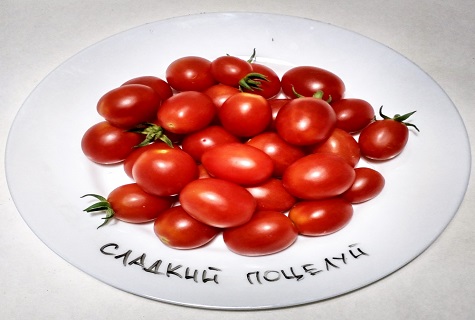 Tomaten in einem Teller