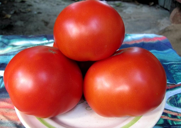 tomaat uiterlijk Rood rood F1