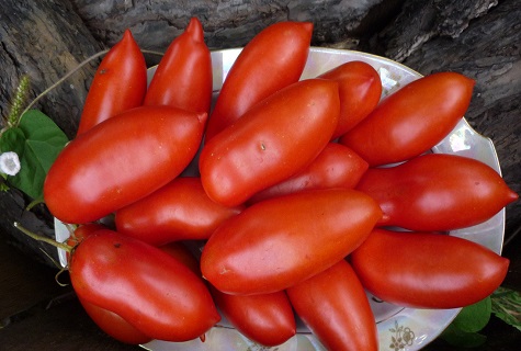 tomaten in een kom