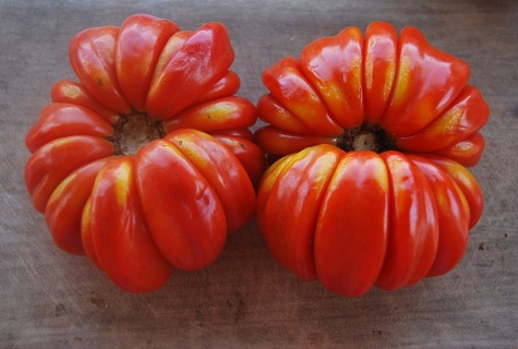 pomidorų romas