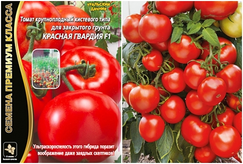 זרעי עגבניות שומר אדום