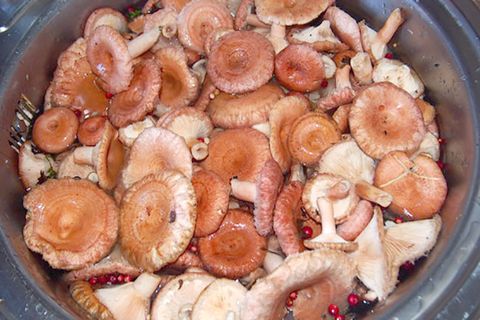 champignons dans une casserole