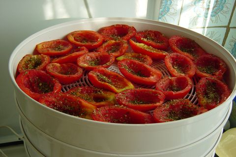 Recept na vaření sluncem sušených rajčat na zimu v zeleninové sušárně