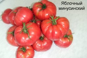 Eigenschaften und Beschreibung der produktiven Sorten von Minusinsk-Tomaten