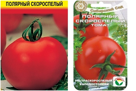 paradajkové semená polárne skoré dozrievanie