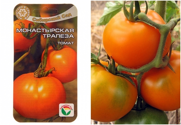 Tomatensamen Klöster Mahlzeit