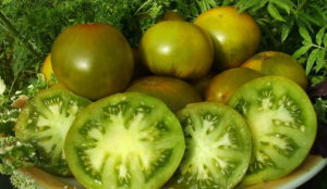 Pomidorų veislės Smaragdinis obuolys charakteristikos ir aprašymas, jo derlius