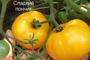 Tomaattilajikkeen ominaisuudet ja kuvaus Makea munkki, sen sato