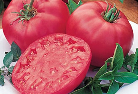 pomidorų jautienos rožinio brendžio išvaizda