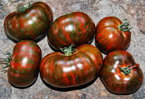 vzhľad paradajkovej pruhovanej čokolády