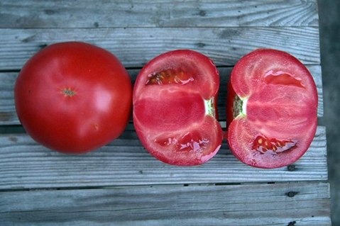 Kibo-Tomate im Inneren
