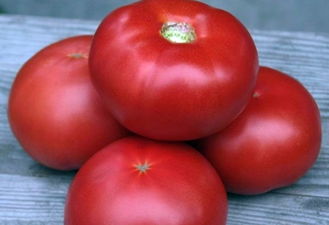paradajkový vzhľad kibo
