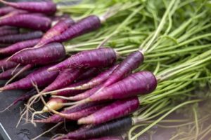 Purppura-porkkanoiden viljelyn hyödylliset ominaisuudet, kuvaus ja ominaisuudet