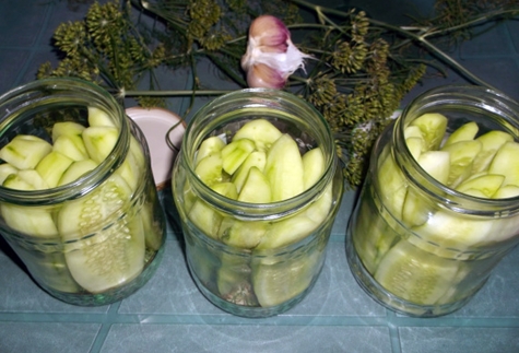 komkommers in potten