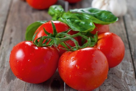 Tomatenstillleben