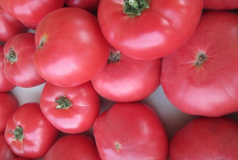 tomatoes for selection
