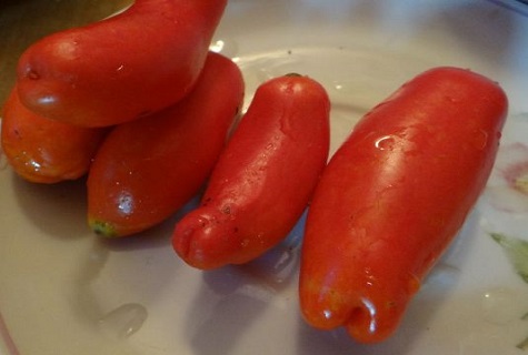 tomates mojados