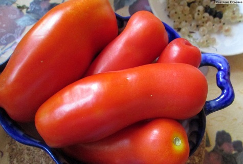 skål tomater