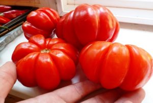 Beskrivelse og egenskaber ved tomatsorten Lorraine-skønhed