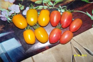 Eigenschaften und Beschreibung der Tomatensorte Honey Candy