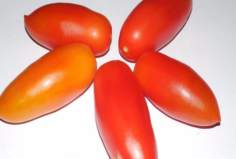 طماطم على خلفية بيضاء