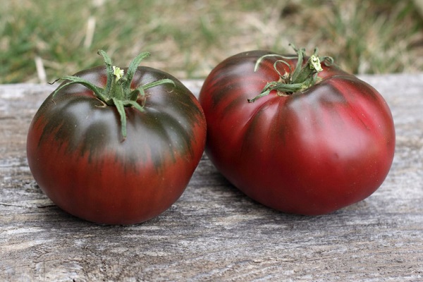 lekárske paradajky