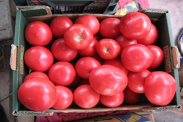 krabica z paradajok