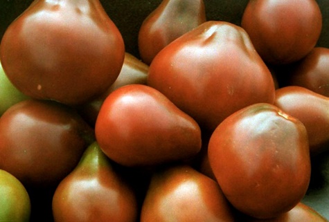 melno bumbieru tomātu izskats