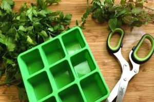 The easiest options for how you can freeze parsley for the winter in the refrigerator