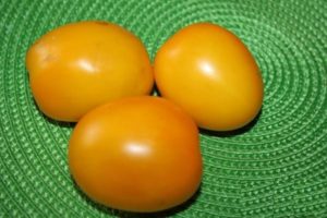 Beschrijving en kenmerken van de tomatenvariëteit Golden Eggs