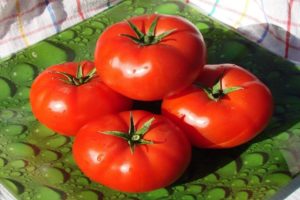 Alaskan tomaattilajikkeen tuottavuus, ominaisuudet ja kuvaus