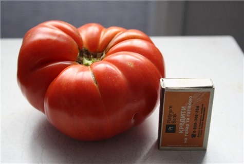 Tomaten und Streichhölzer