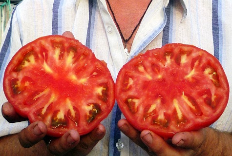 supjaustytą pomidorą