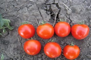 Beschreibung und Eigenschaften der Tomatensorte Aswon