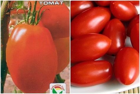 semillas de tomate princesa
