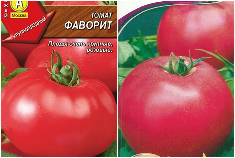 tomaatin siementen suosikki