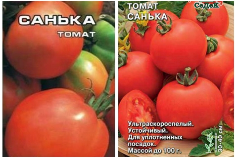 pomidorų veislė Sanka F1