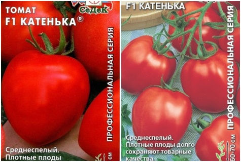 pomidorų sėklos Katenka