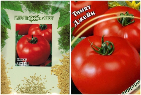 paradajkové semienka jane